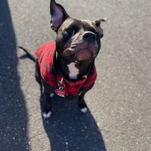 Meet your Posher, Ang